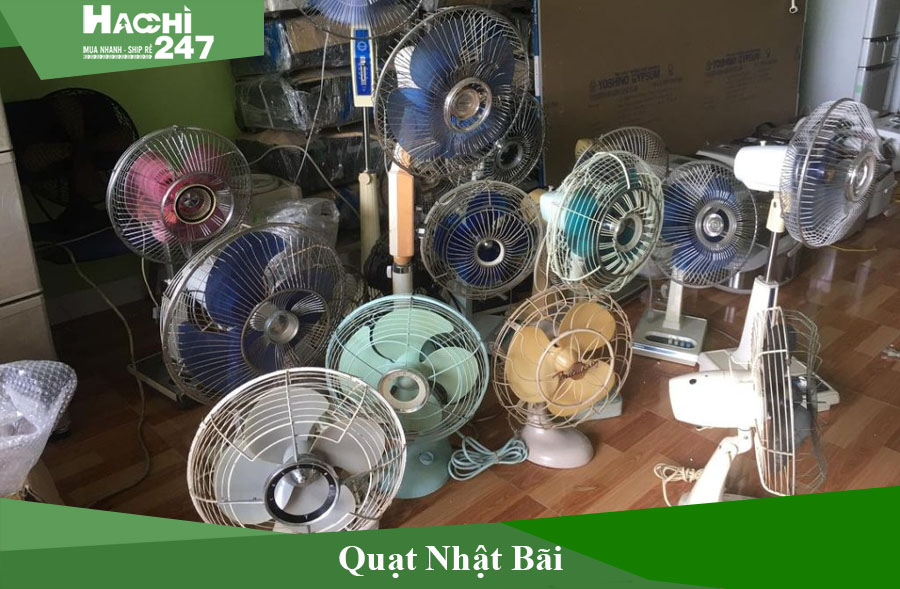 373-quat-nhat-bai.jpg