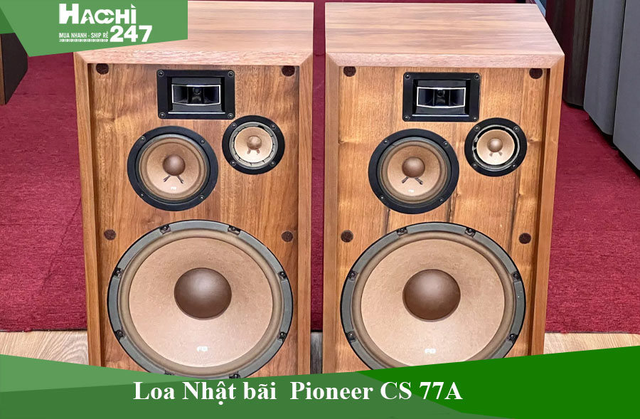 382-loa-nhat-bai-pioneer.jpg