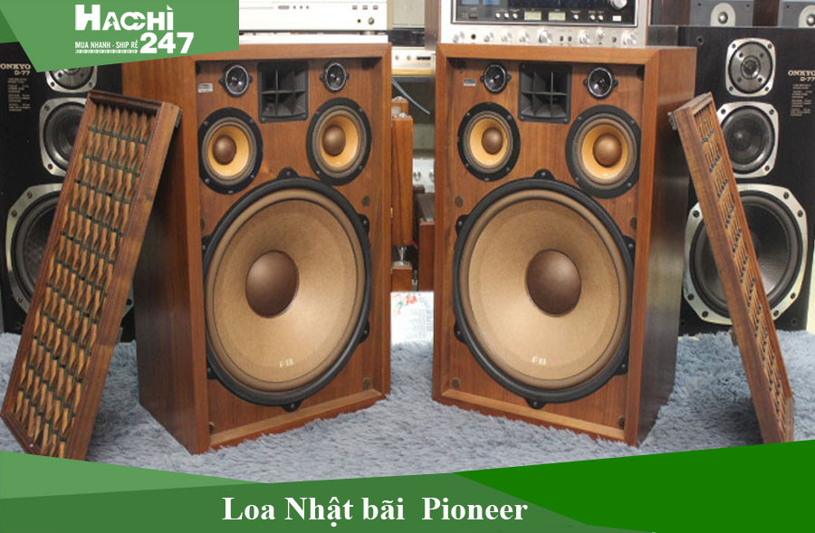 383-loa-nhat-bai-pioneer.jpg