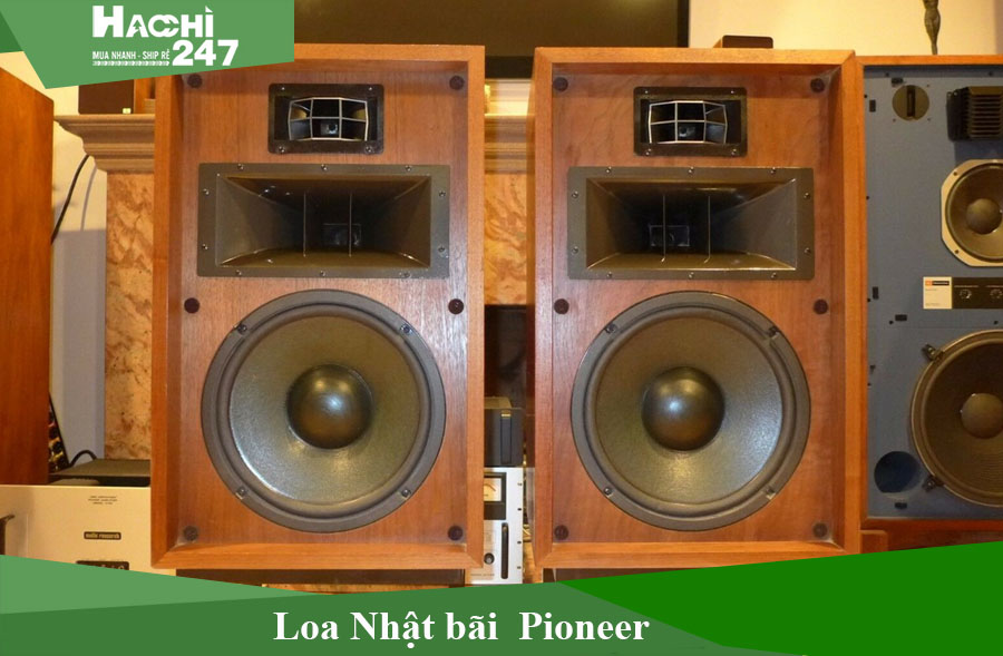 384-loa-nhat-bai-pioneer.jpg