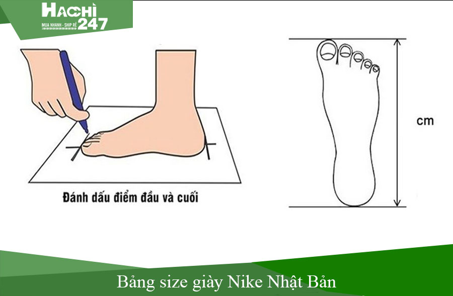 441-size-giay-nike-nhat.jpg